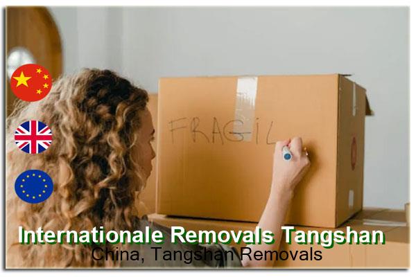  International Removals China