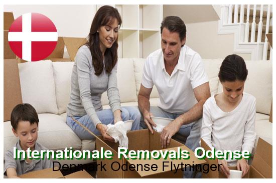  International Removals Denmark