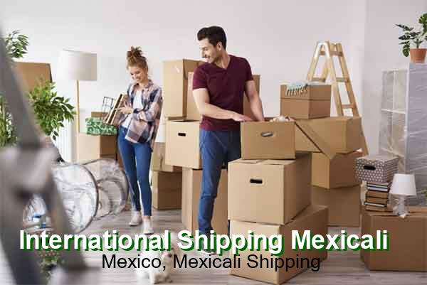  International Movers Mexico