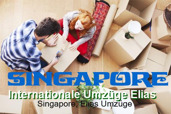  Internationale Umzüge Singapore