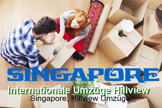  Internationale Umzüge Singapore